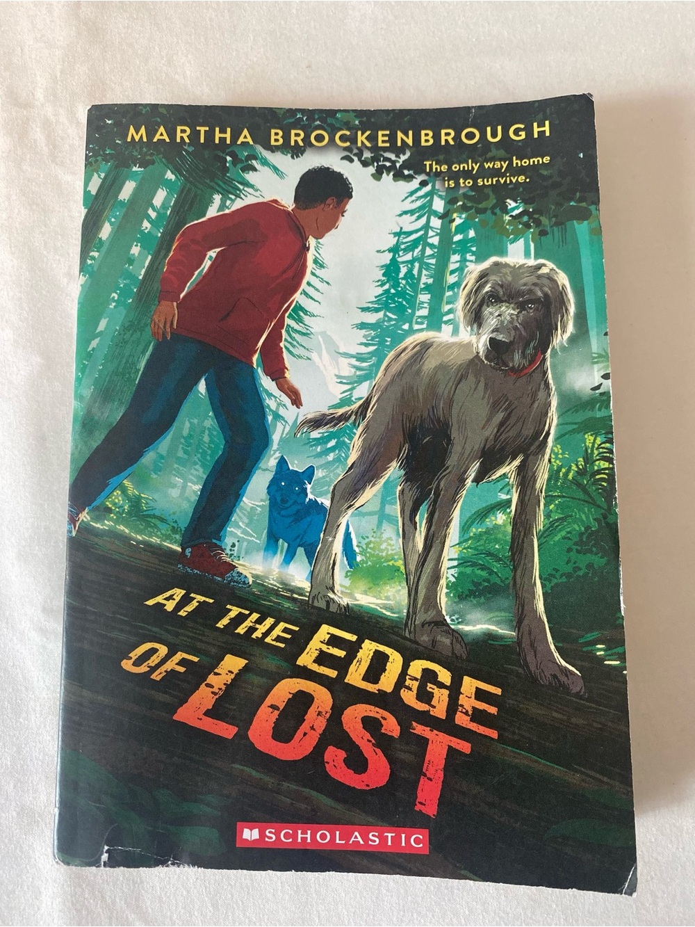 At the Edge of Lost Paperback Martha Brockenbrough Scholastic 2025 dogs survival